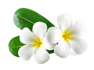 manicure and pedicure Atlanta